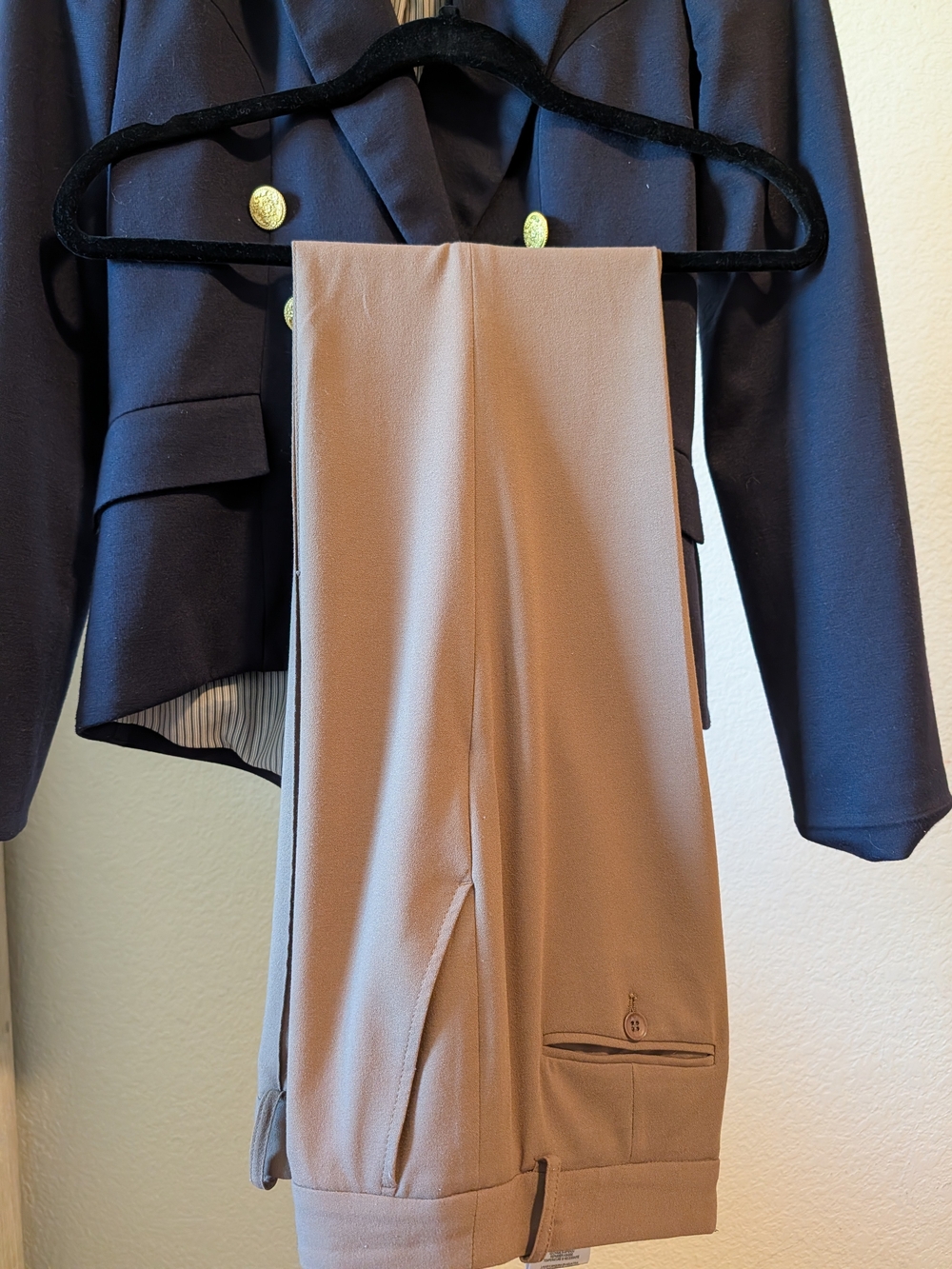 BCBGMaxAzria Tan Dress Pants with Sleek Front
